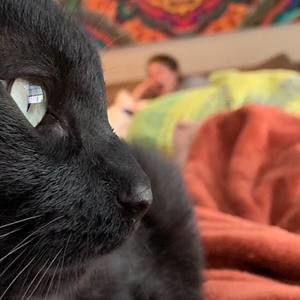 Meet your Posher, Jackson